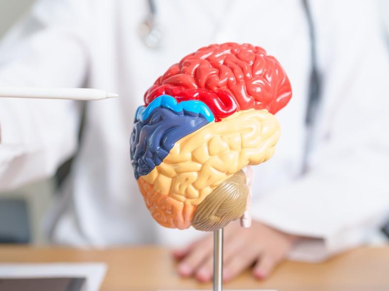Quais doenças o neurologista trata?