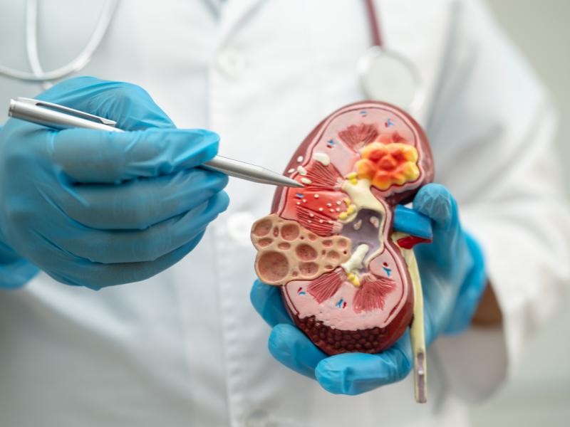 Quais são as Principais Doenças Tratadas pelo Reumatologista?