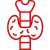 Pacote Endócrino (Tireoide)